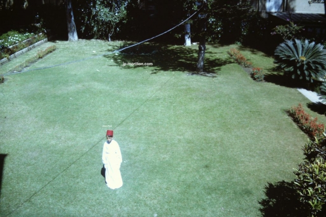 Egypte, Alexandrie, 1967, Jean-Paul Morillon dans le jardin de la résidence du consul général de France où nous habitions