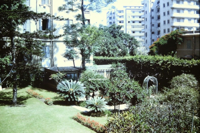 Egypte, Alexandrie, 1967, jardin de larésidence du consul général de France où nous habitions