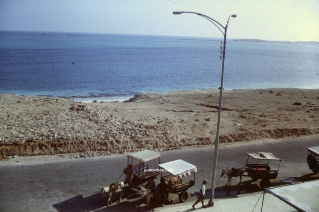 Egypte, Mer Rouge, 1967, Carrioles au bord dela Mer Rouge